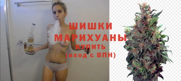 mix Богородицк