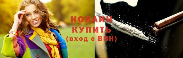 mix Богородицк