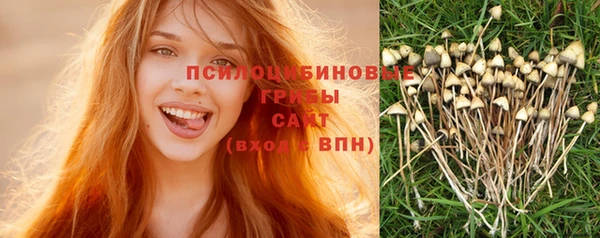 mix Богородицк