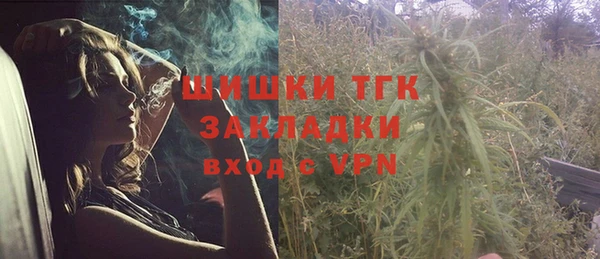 mix Богородицк