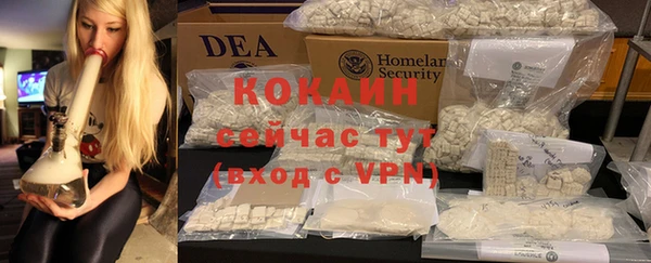 mix Богородицк