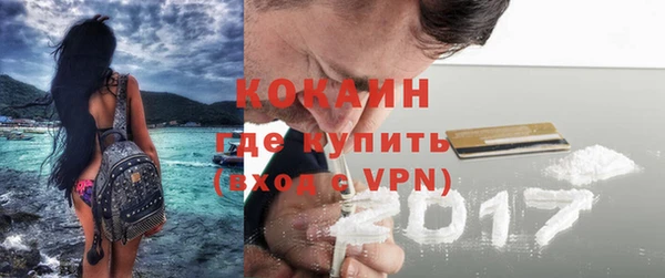 mix Богородицк