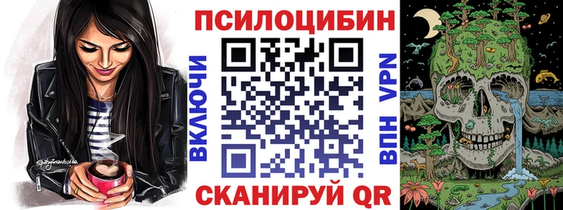 Галлюциногенные грибы Psilocybine cubensis  закладка  Кочубеевское 